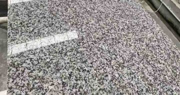 菏泽 芙蓉白光面