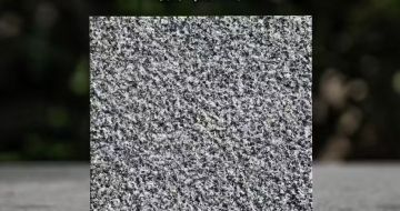 菏泽 芝麻黑荔枝面