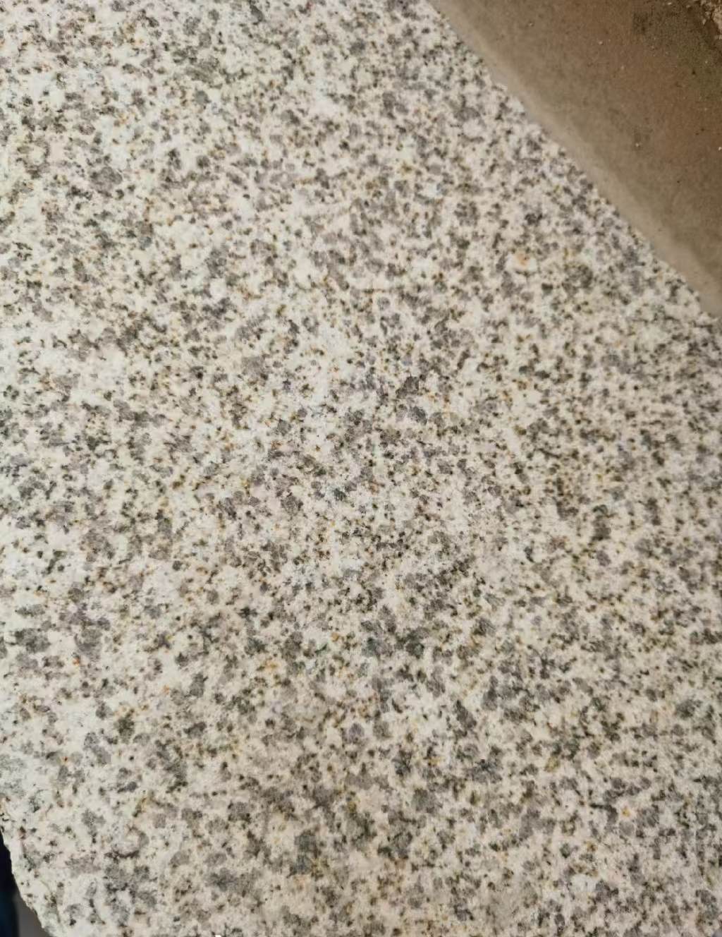 菏泽 黄金麻中黄光面