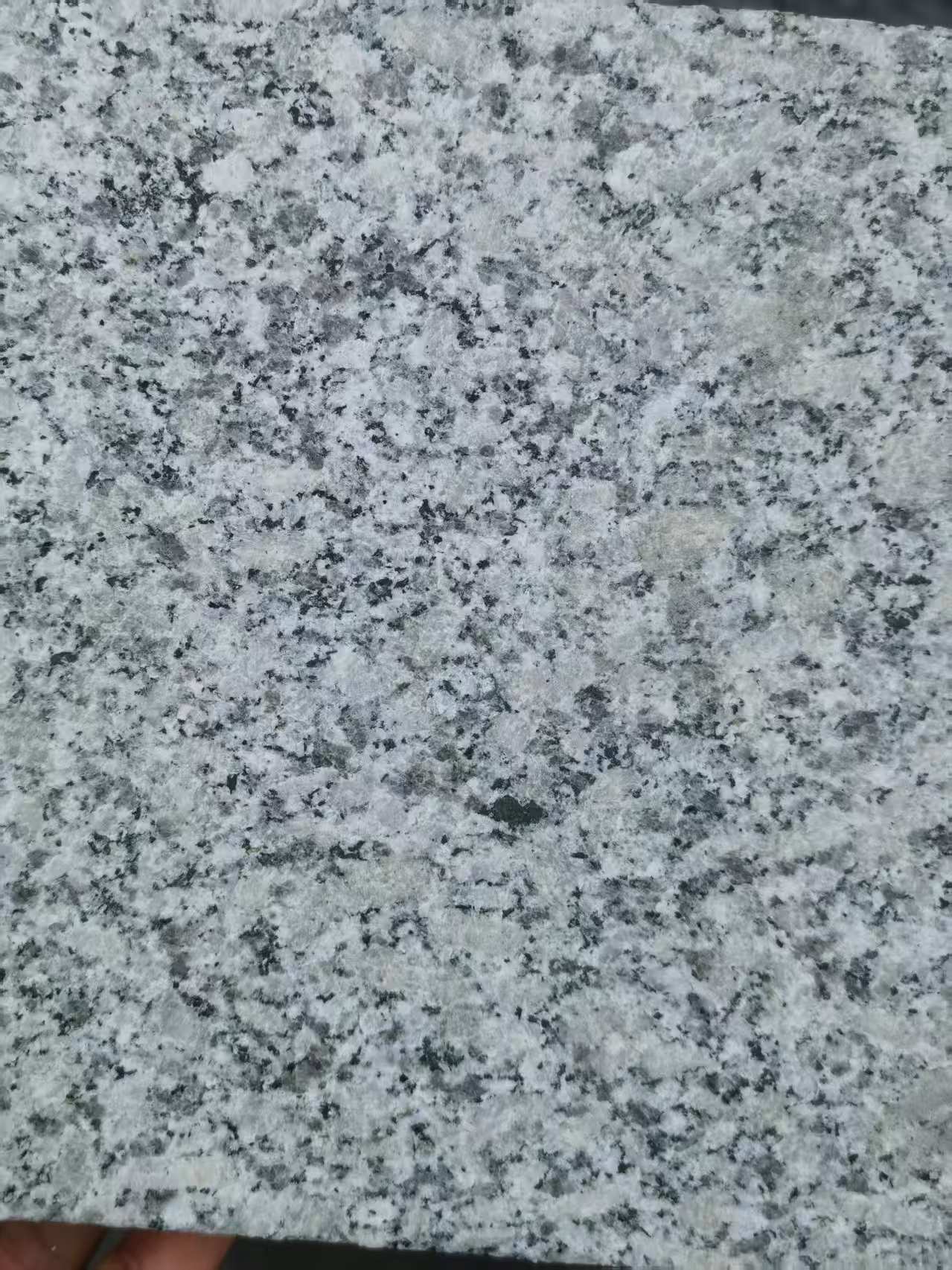 菏泽 芙蓉白火烧面