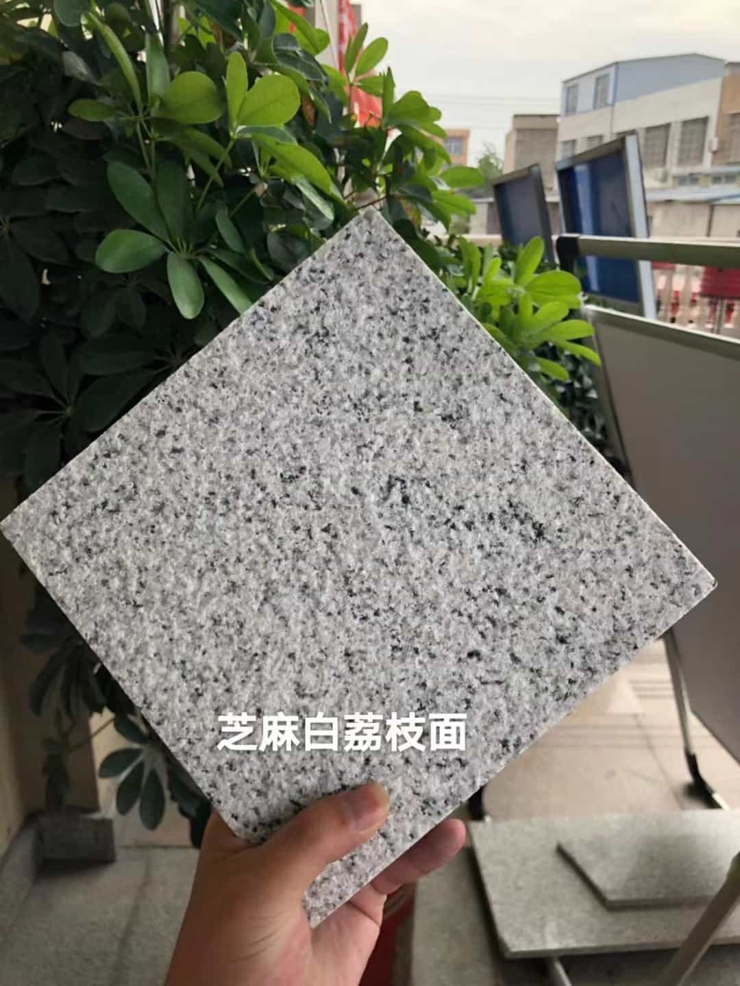 菏泽 芝麻白荔枝面干挂