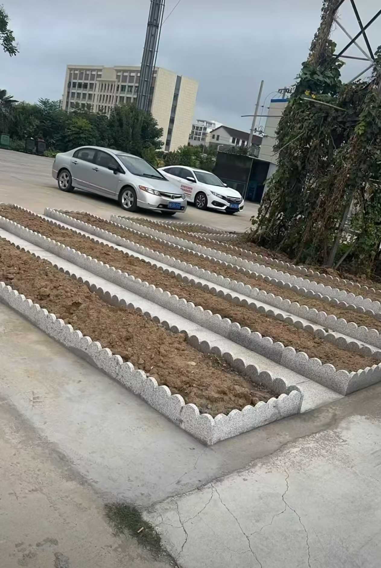 菏泽 花边石、花围石、花园石安装效果